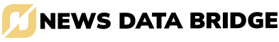 News Data Bridge